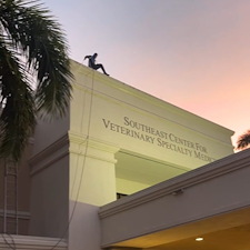 Commercial-Project-Soft-Washing-the-building-in-Coral-springs-FL 0