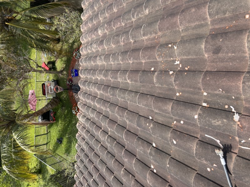 Roof Cleaning in Boynton Beach