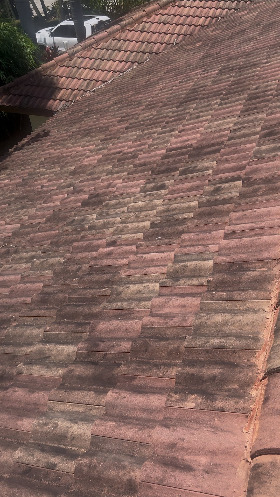 Soft Wash Roof Cleaning-port St Lucie