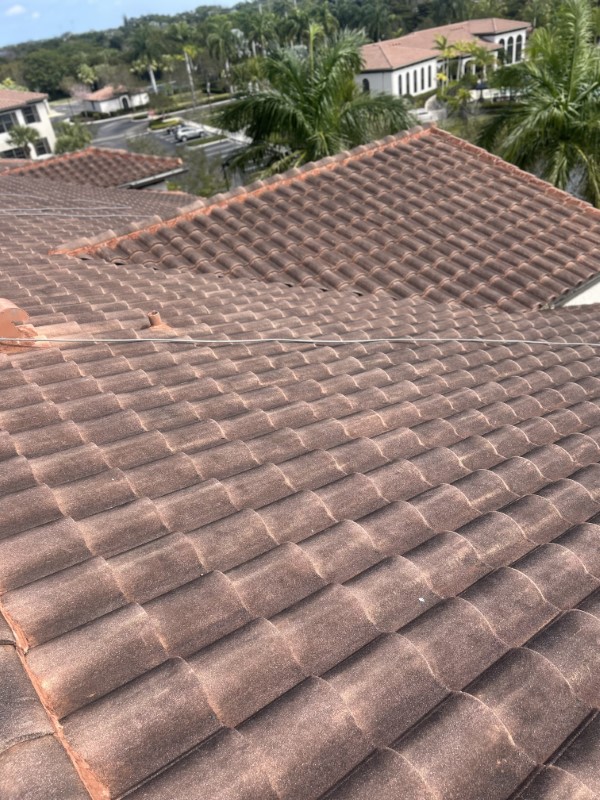 Soft Washing Roof Job in Wellington, FL